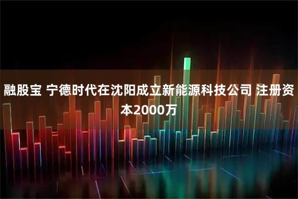 融股宝 宁德时代在沈阳成立新能源科技公司 注册资本2000万