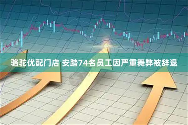 骆驼优配门店 安踏74名员工因严重舞弊被辞退