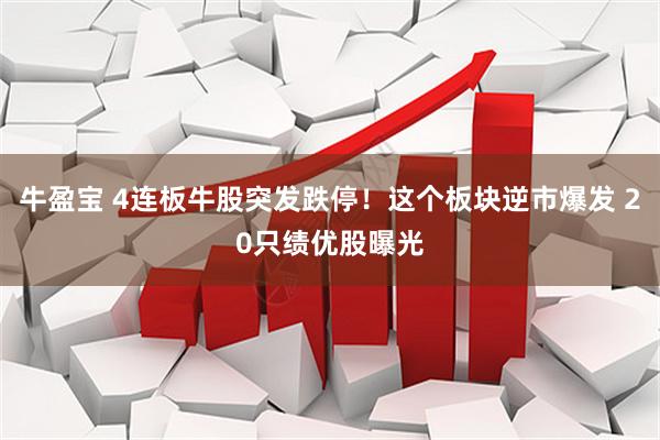 牛盈宝 4连板牛股突发跌停！这个板块逆市爆发 20只绩优股曝光