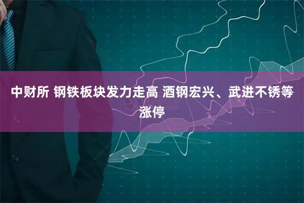 中财所 钢铁板块发力走高 酒钢宏兴、武进不锈等涨停