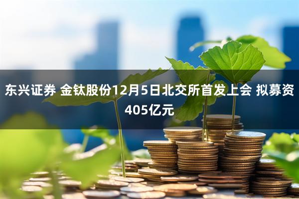 东兴证券 金钛股份12月5日北交所首发上会 拟募资405亿元