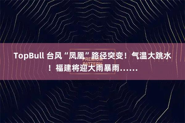 TopBull 台风“凤凰”路径突变！气温大跳水！福建将迎大雨暴雨……